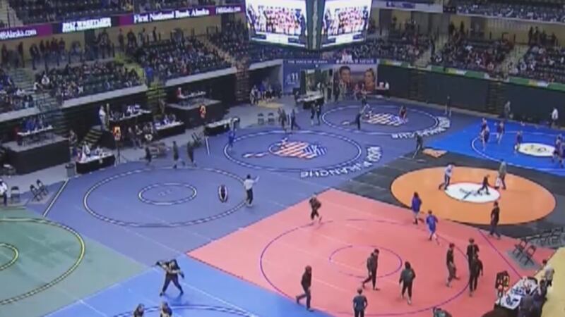 Interior Wrestlers Represent Well in Division II state championship