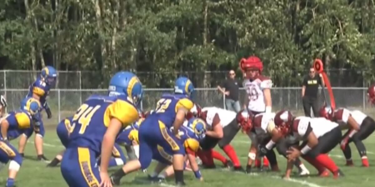 Monroe Rams Monroe Catholic Rams fall just short against Houston Hawks