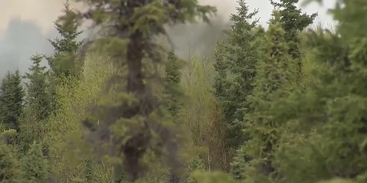 Rain brings relief, but Southcentral's 2026 fire season remains ‘near normal'